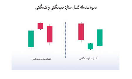 حساب تجاري بروكر فيبو گروپ كامپيوتر