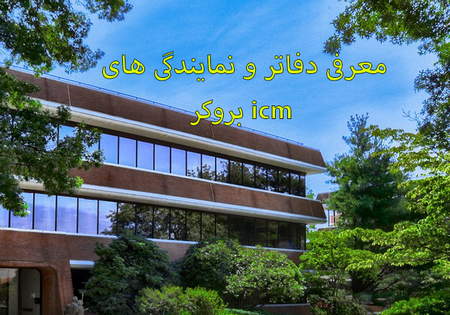 حساب کاربری در سایت کارگزاری