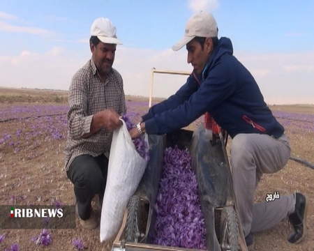 بورس جهانی چه نوع بازاری است؟